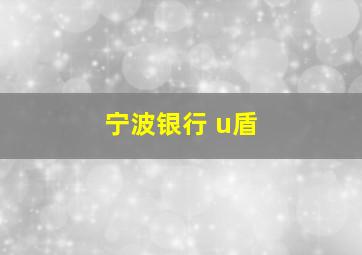 宁波银行 u盾